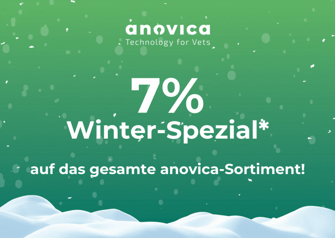 202411_WinterSpezial_Blog