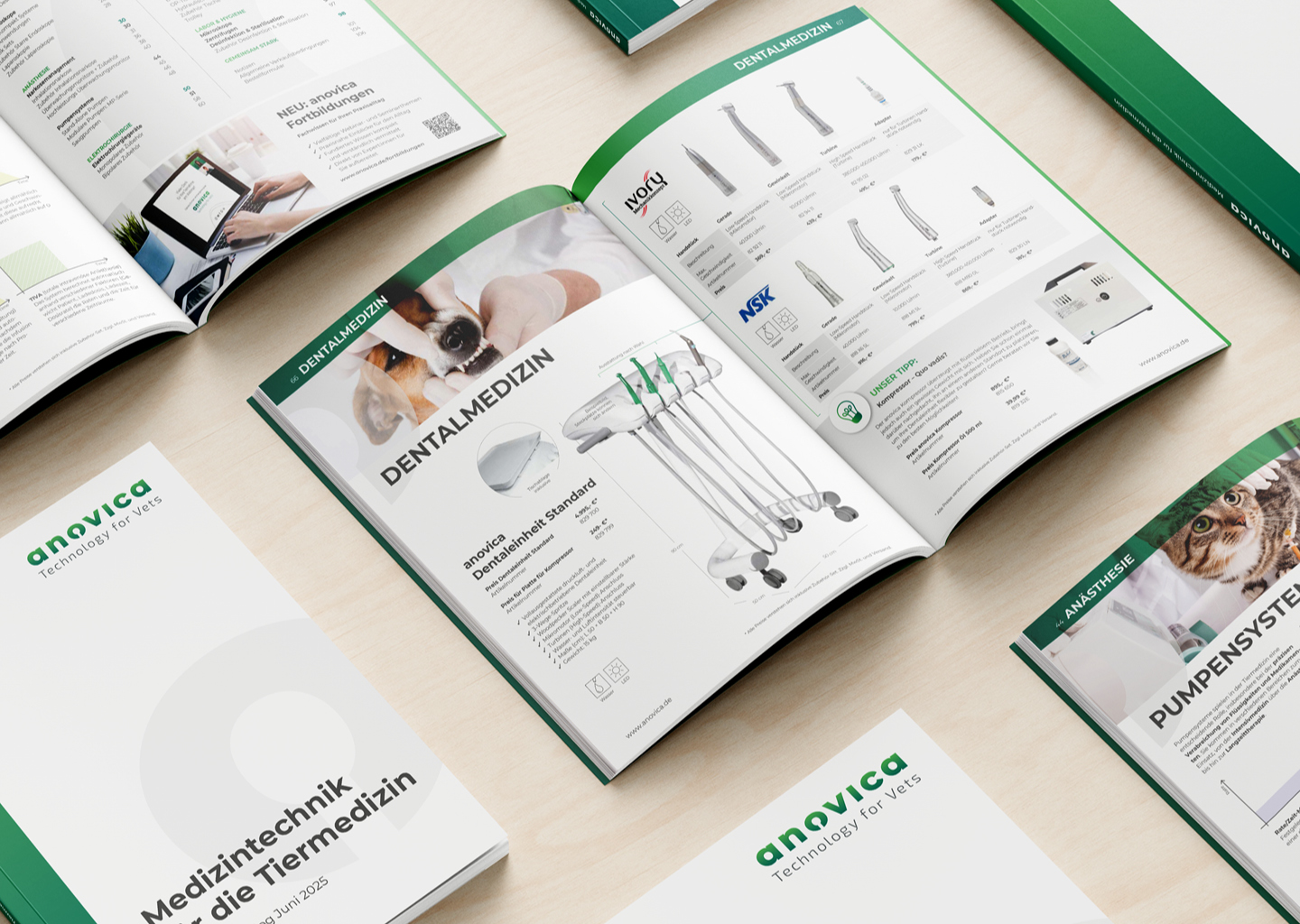 202506_NeuerKatalog_Blog 202506_NeuerKatalog_Blog