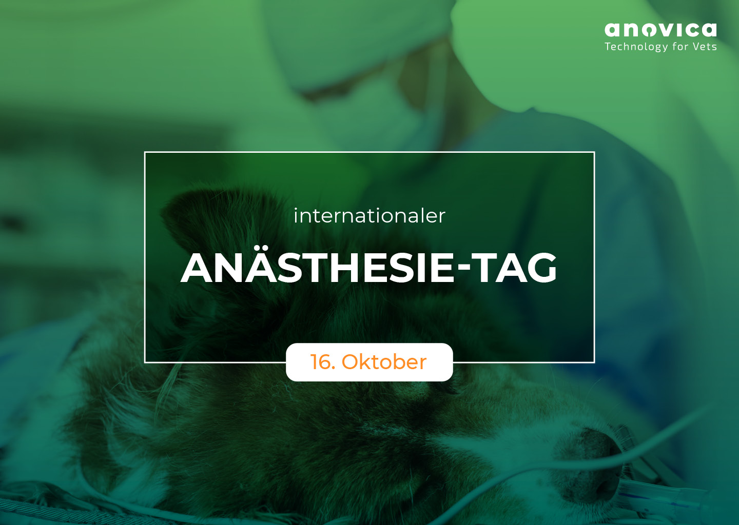 20251016_anovica_Blog_Welt-Anaesthesie-Tag 20251016_anovica_Blog_Welt-Anaesthesie-Tag