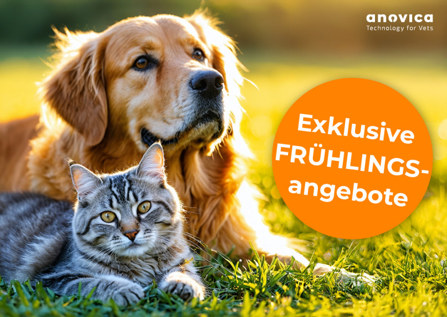 anovica_Fruehlingsangebote_Blog