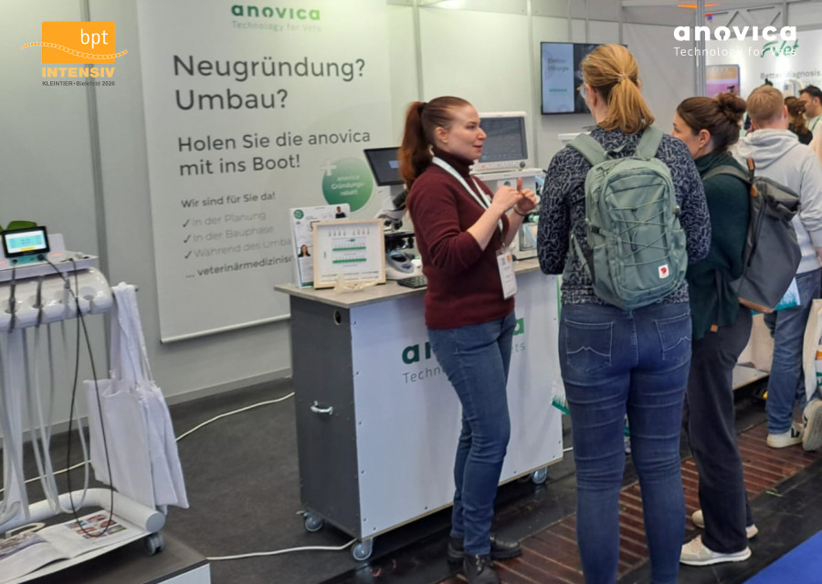 anovica_Blog_202602_Bpt2