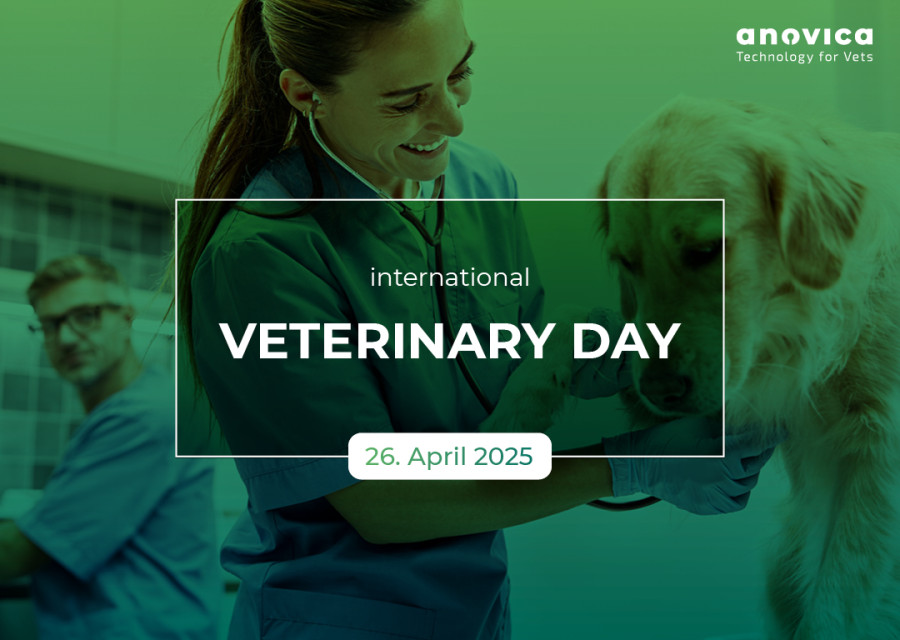20250426_World_Veterinary_Day_Blog