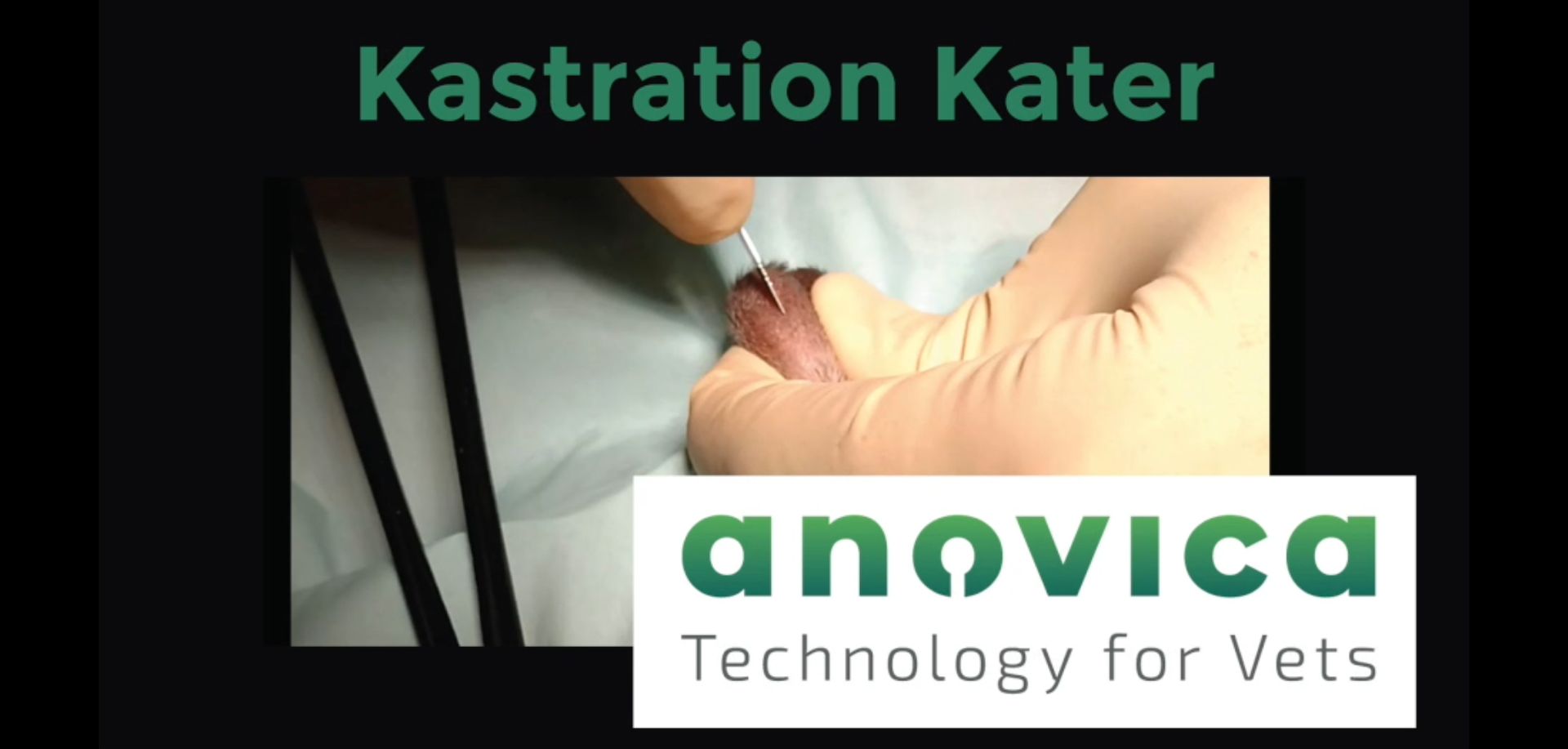 Thumbnail_Kastration-Kater Thumbnail_Kastration-Kater
