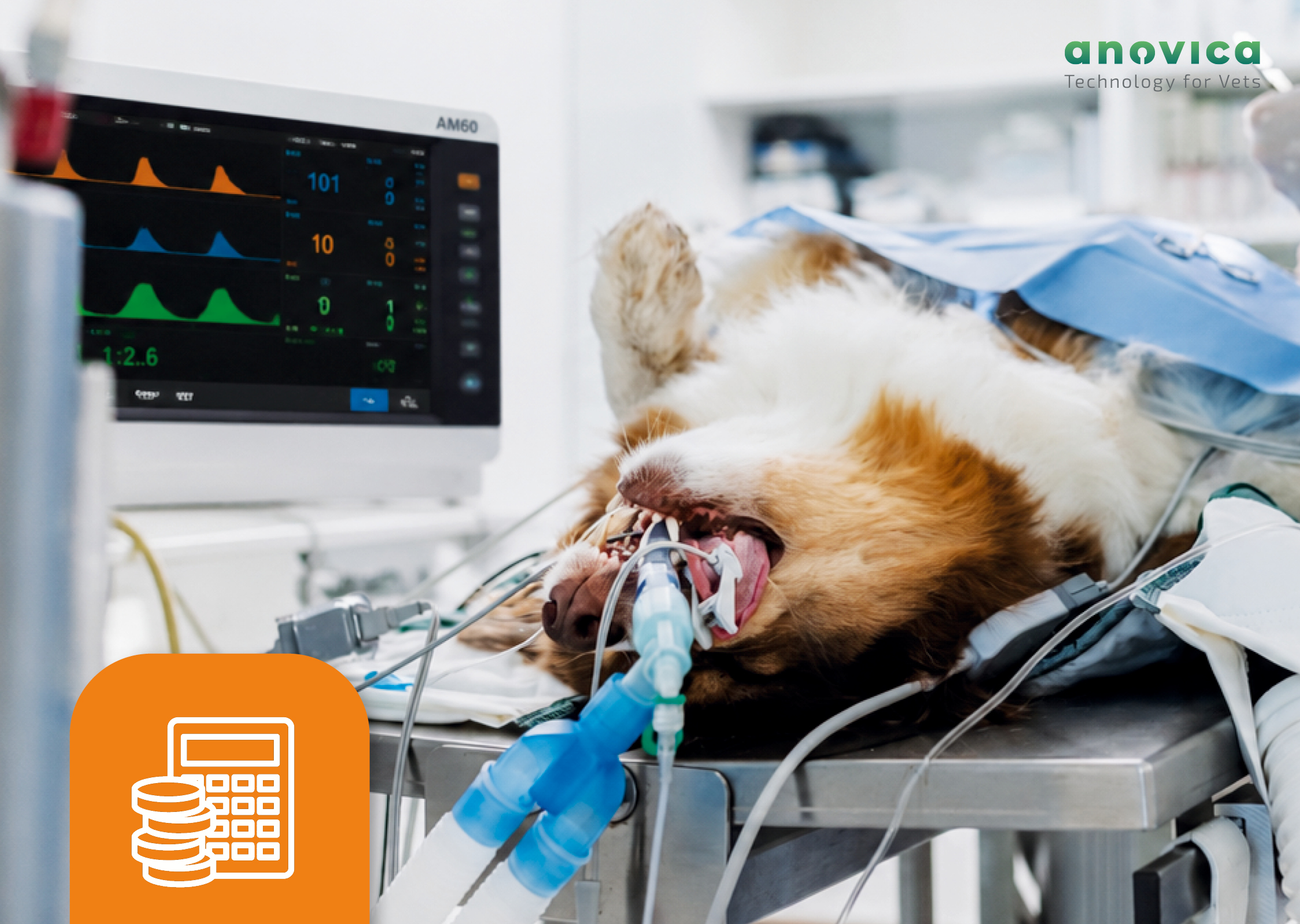 anovica_BlogImage_Anaesthesie_GOT
