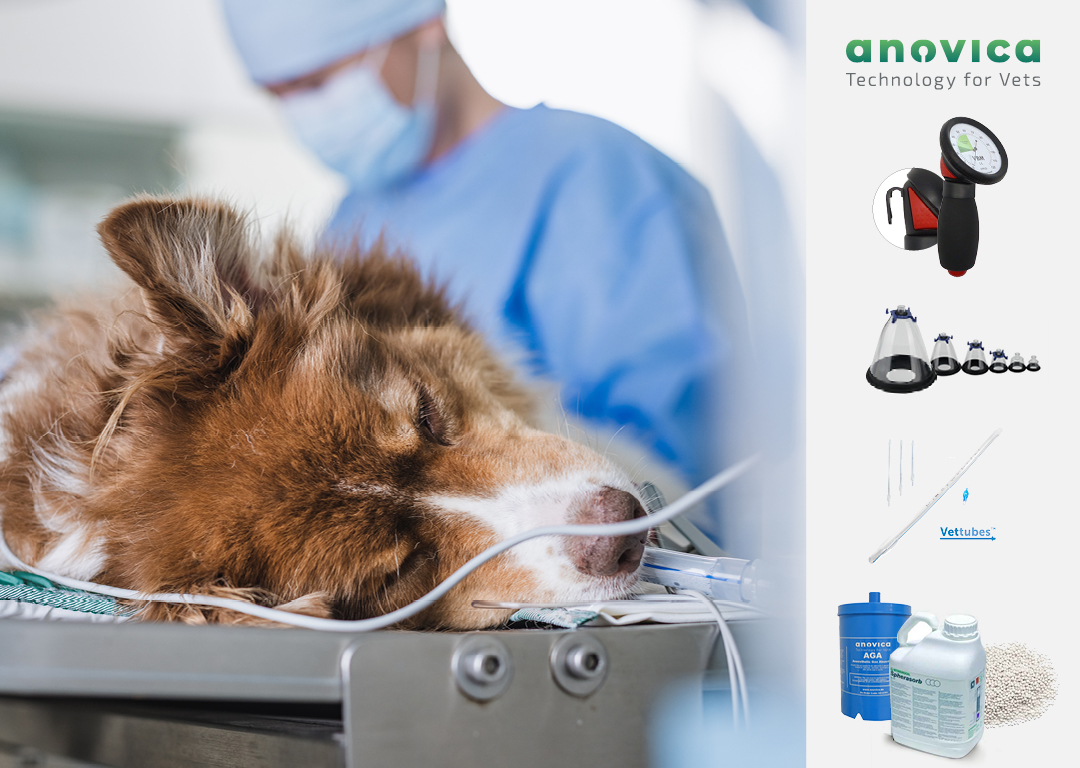 anovica_Blog_StarterSet_AnaesthesiexXrP2W5Nfusst